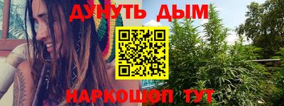 стафф Новокубанск
